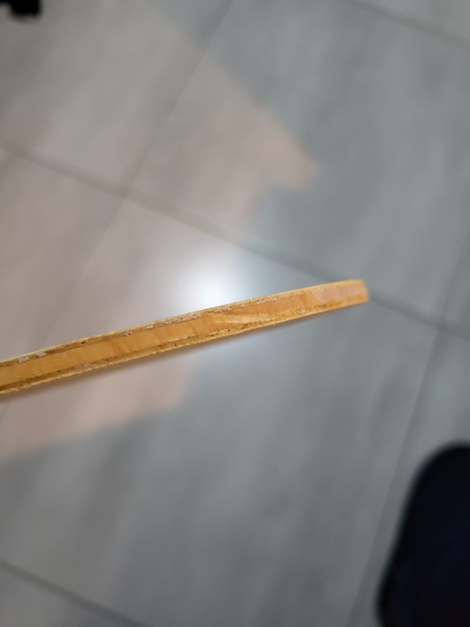 1.jpeg