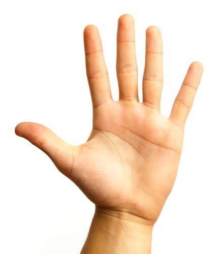 1000016095.jpg