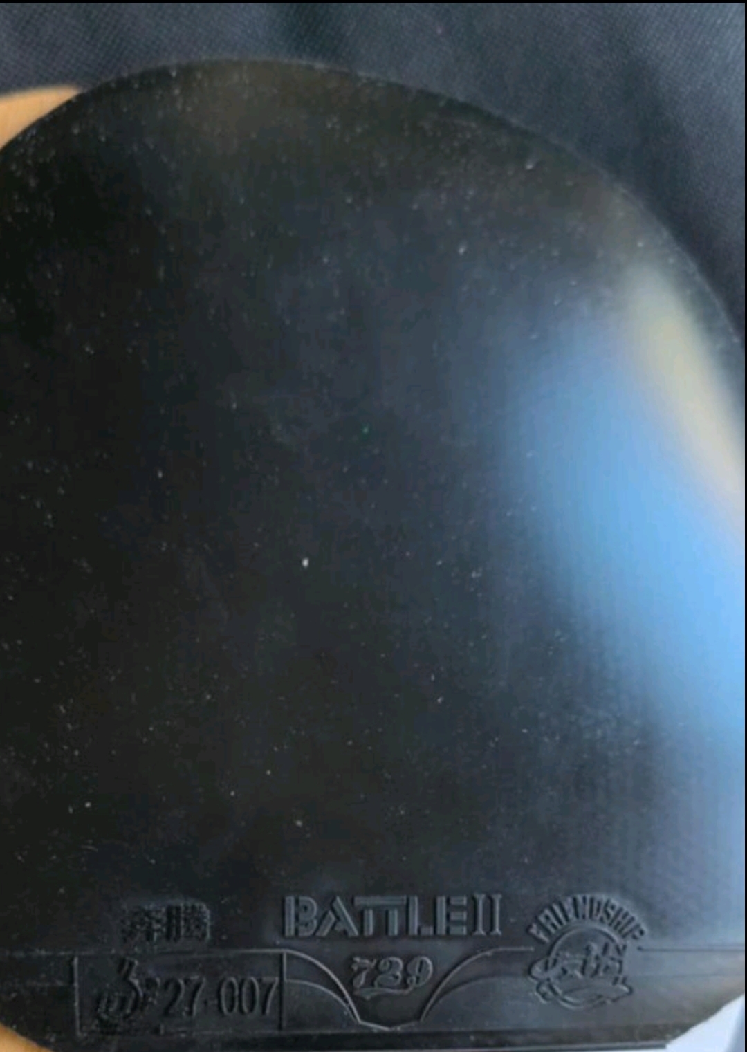 1000019011.jpg