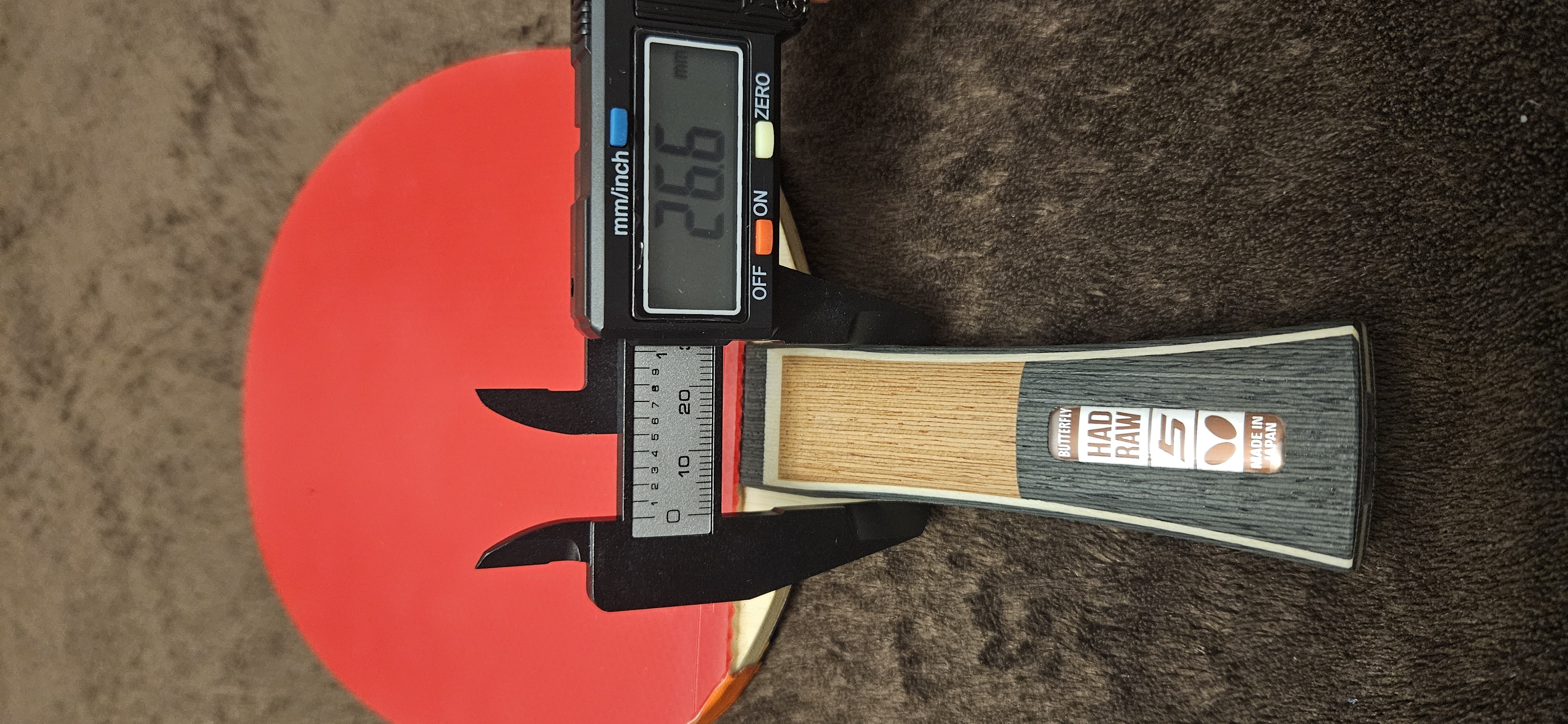 1000036178.jpg