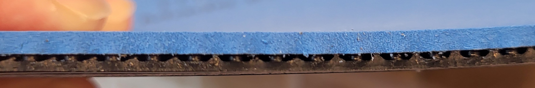 1000046481.jpg