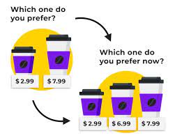 What is a Decoy Pricing Strategy: Definition and Examples