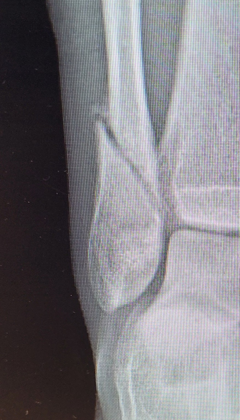 20230725_141625.jpg