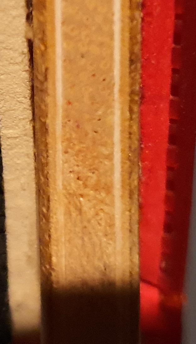 20230805_220953.jpg