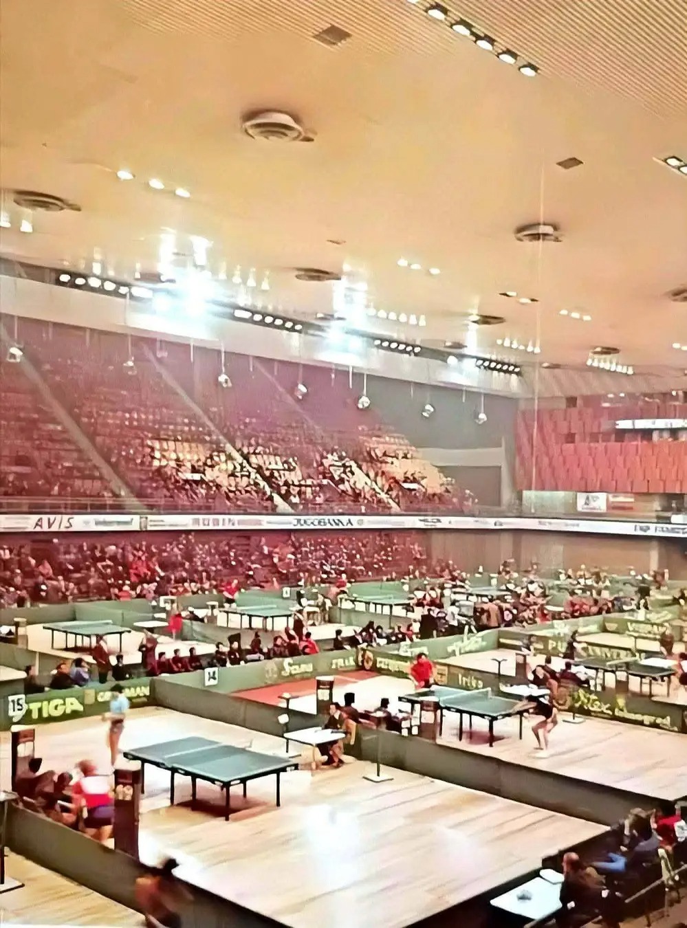 52754.jpg