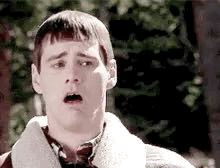 8D863BC6-F108-4450-BEA7-C520CD1340C6.gif