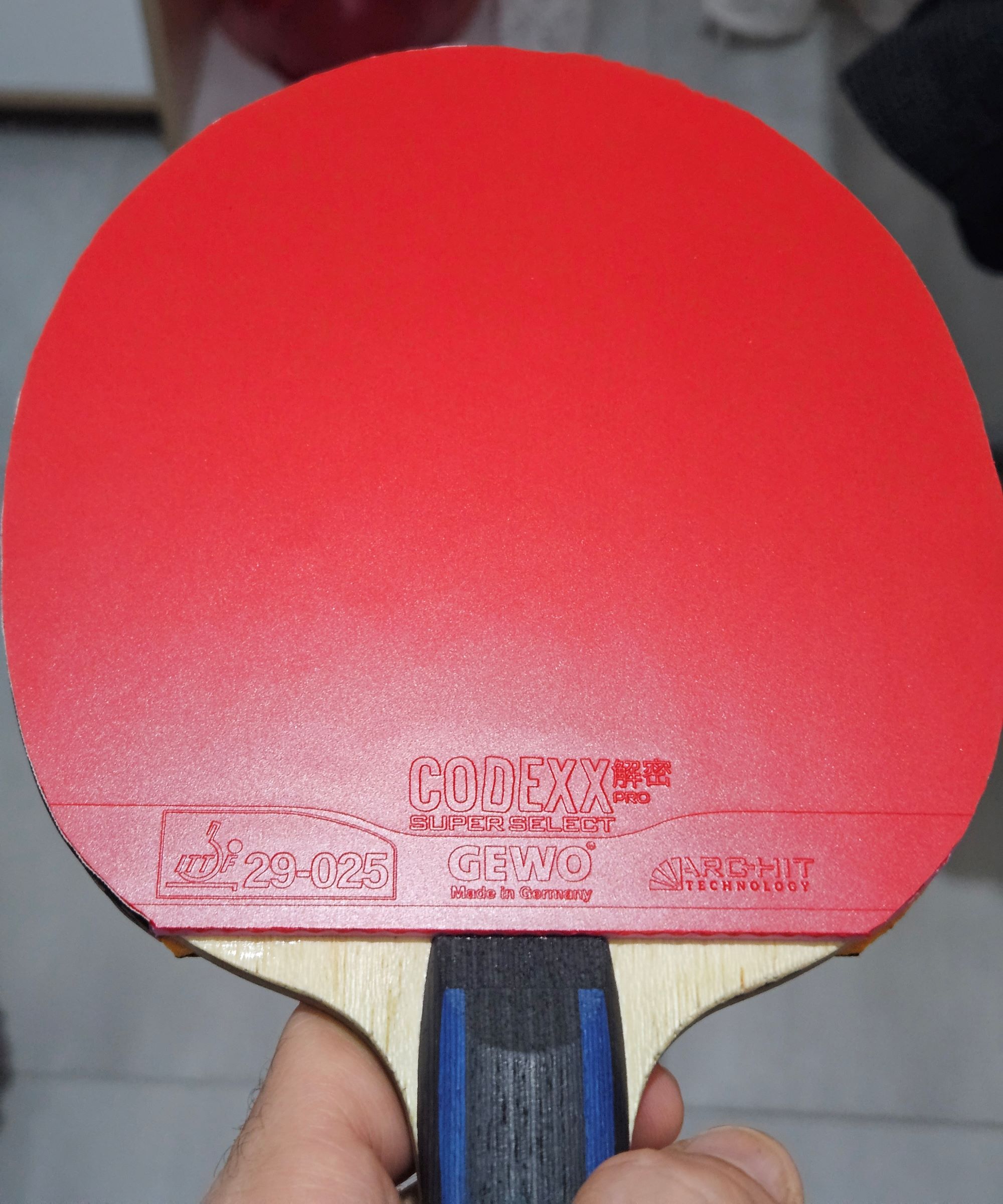 Gewo Codexx Pro 53 Superselect montata su Xiom 36.5 ALX.jpg