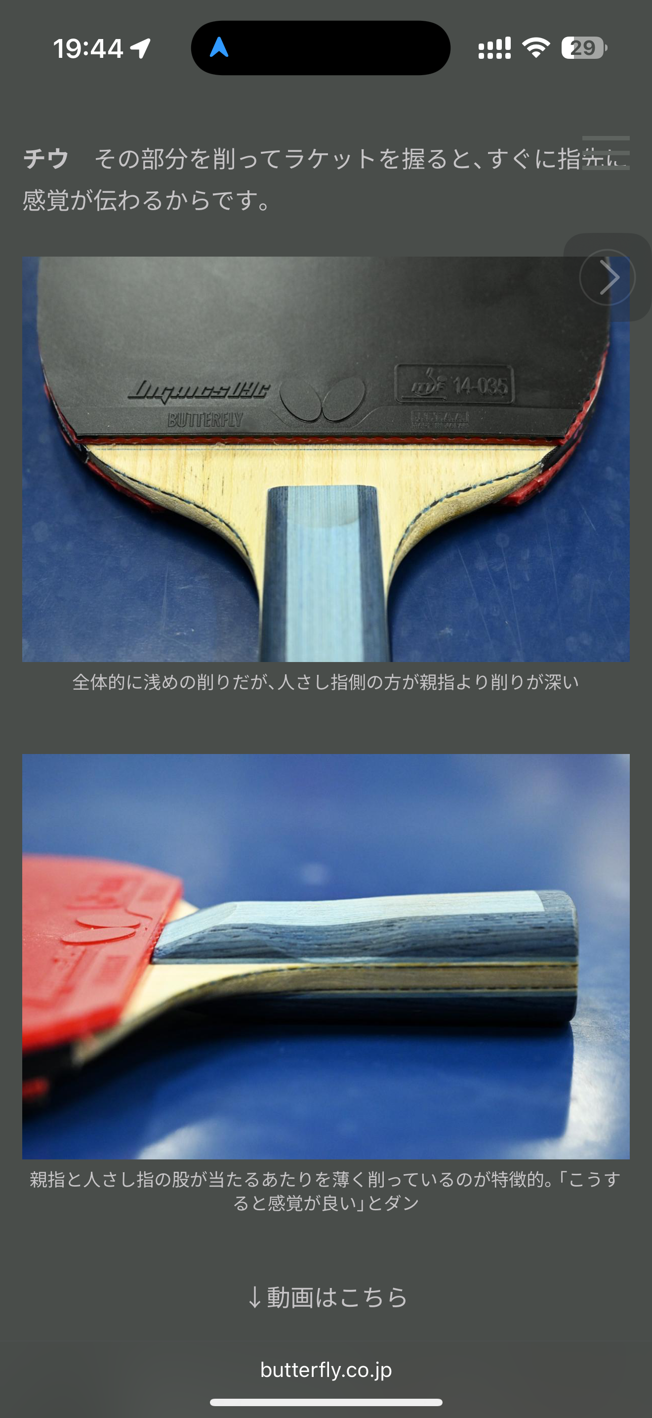 IMG_2195.png
