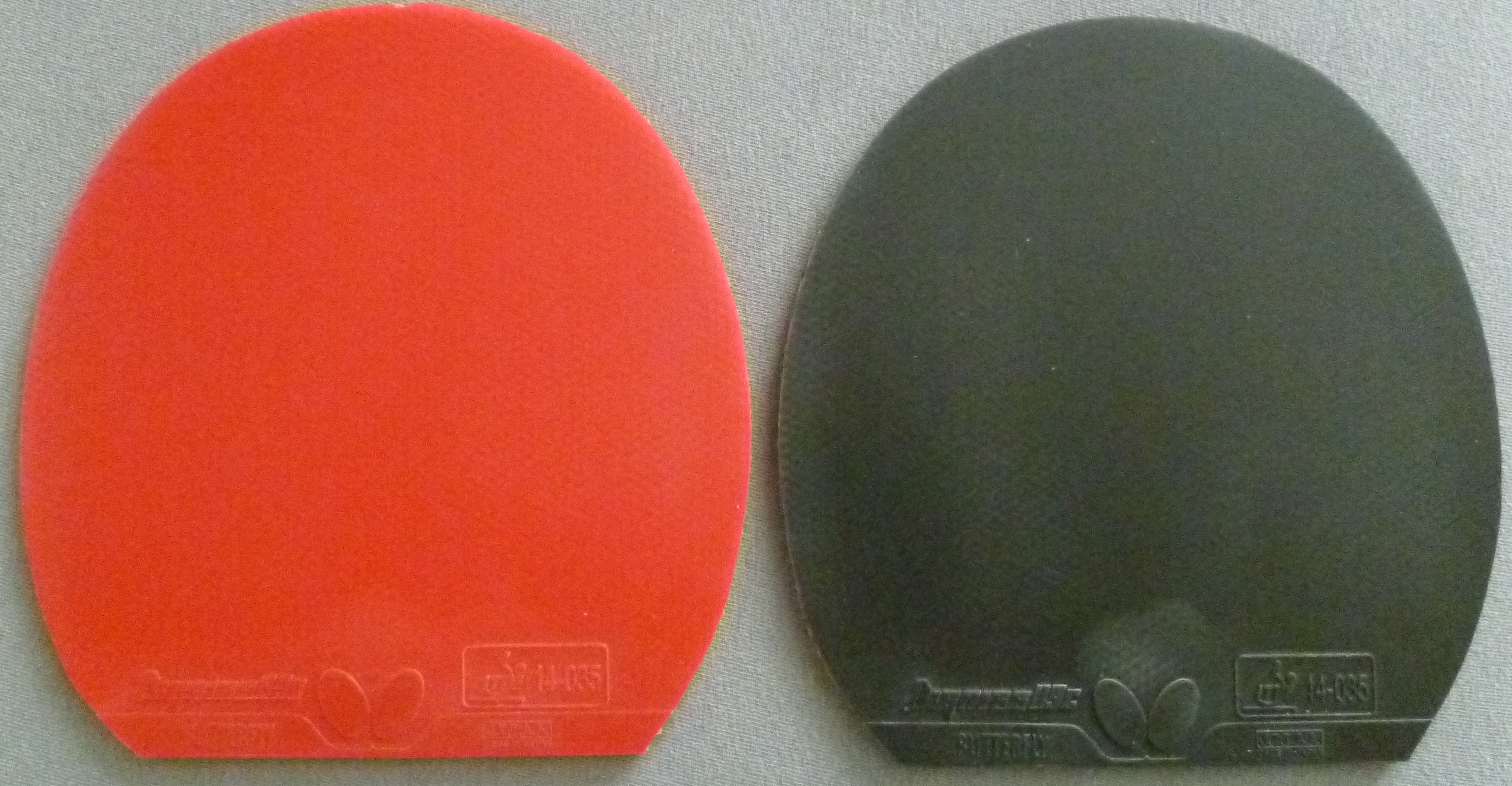 P1000763.JPG