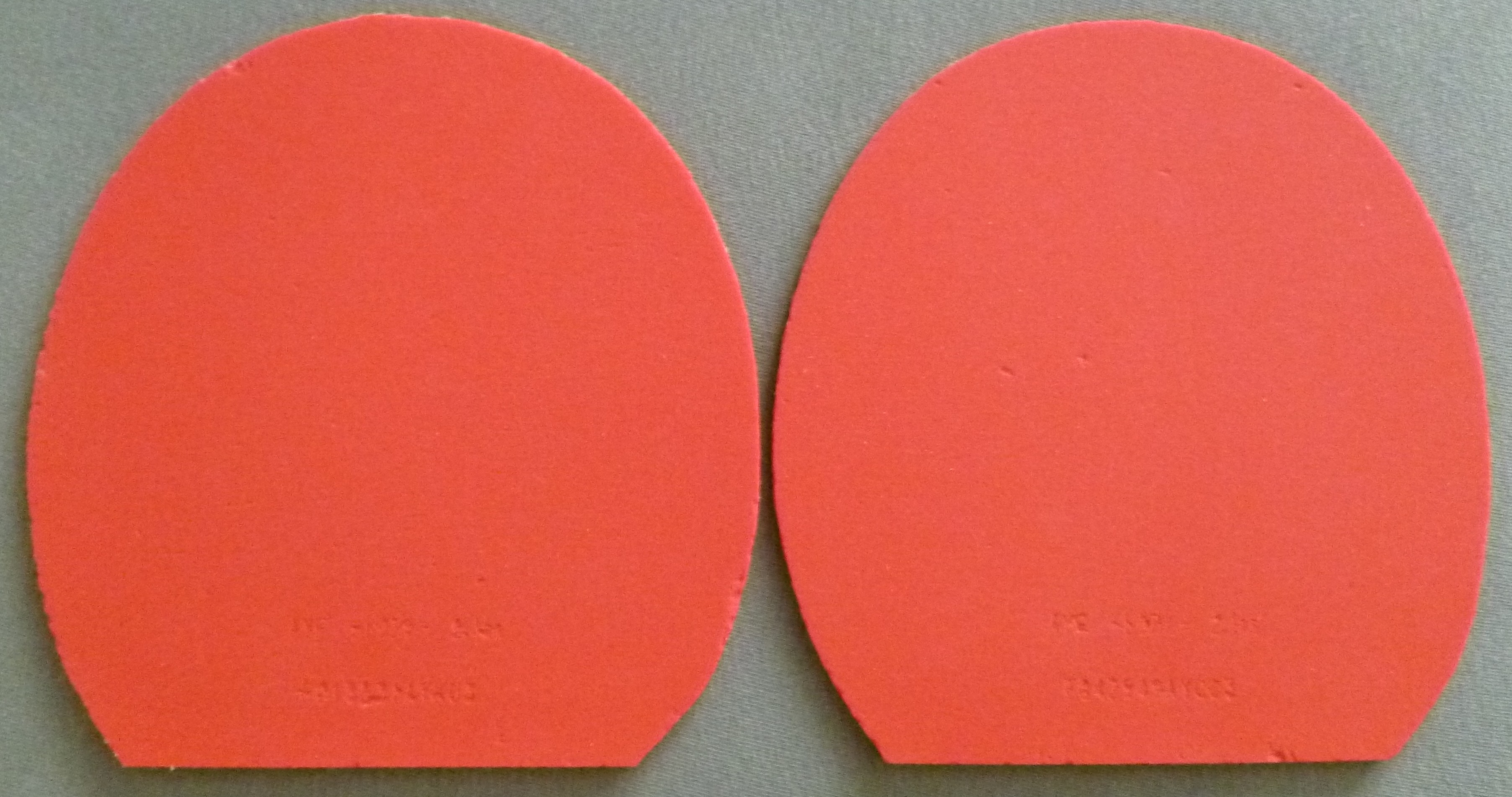 P1000764.JPG