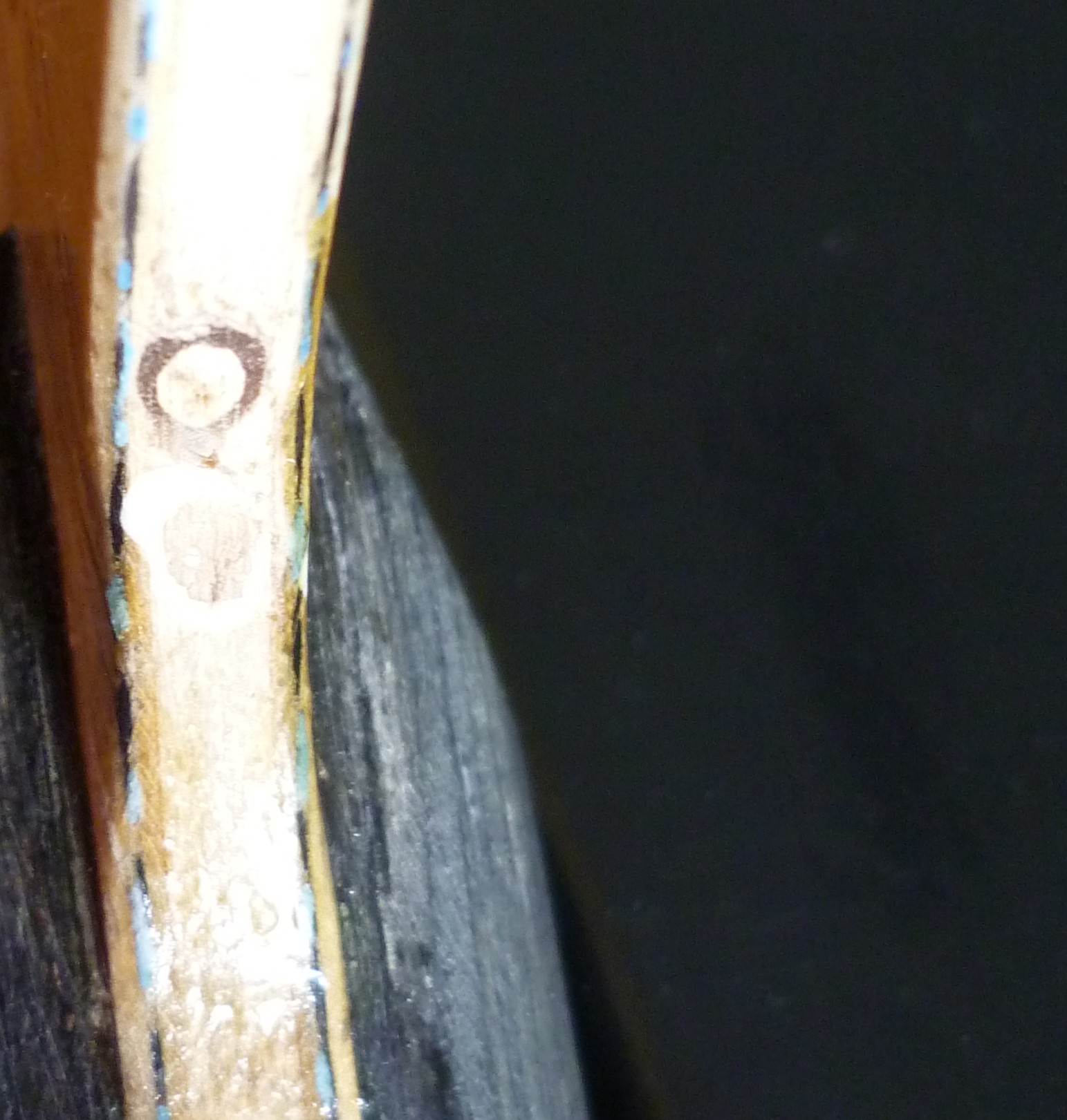 P1000779.JPG