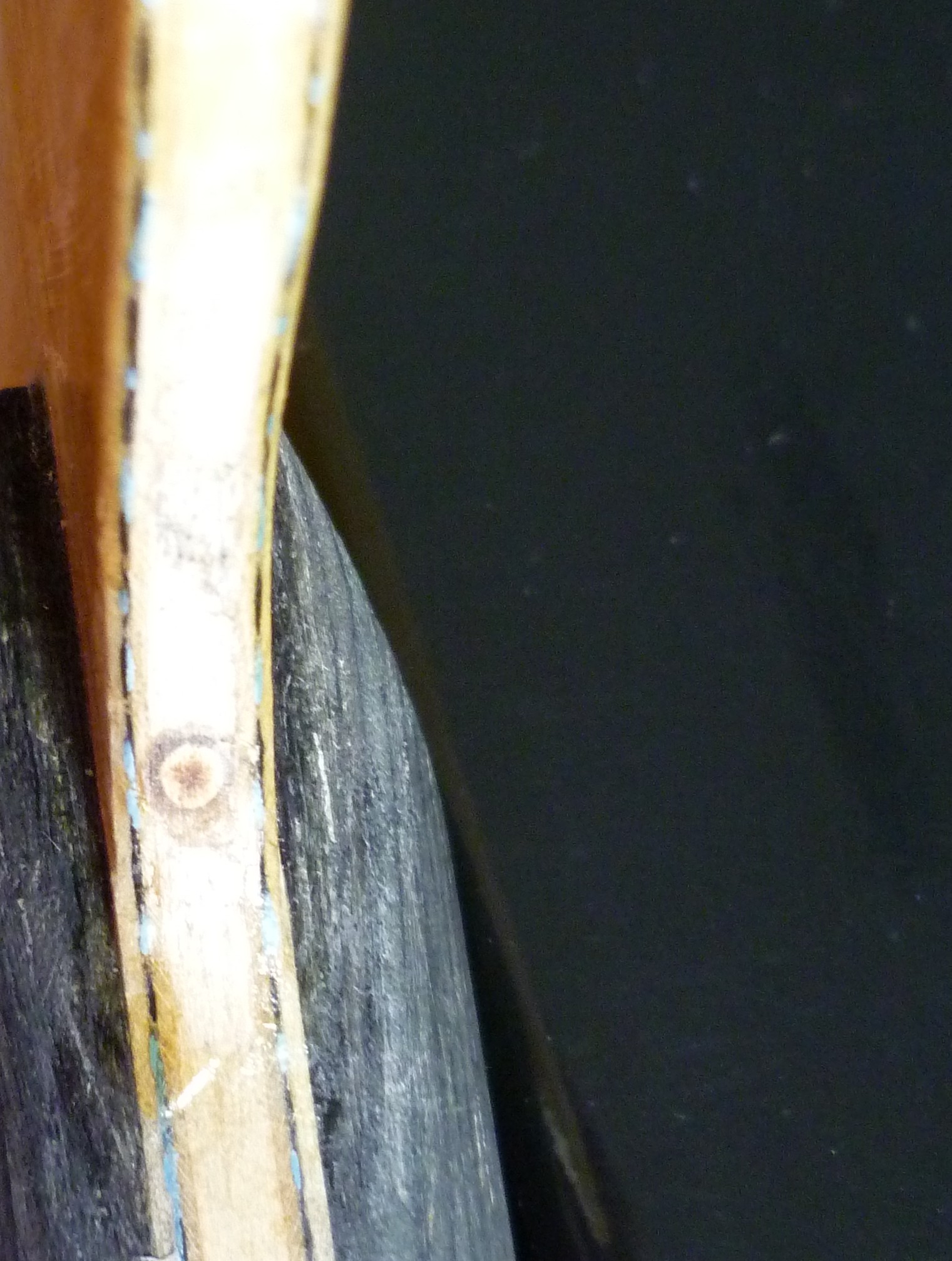 P1000780.JPG