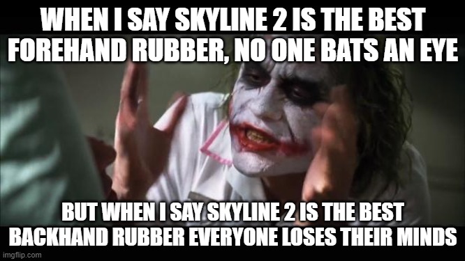 skyline 2.jpg