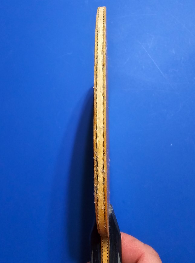 YM6.jpg