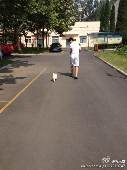 zhang jike.dog.1.jpg