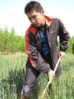 xin_0705031615530852806929.jpg