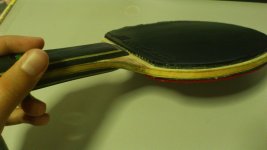 DSC_0410.jpg