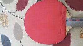 20170611_132827.jpg