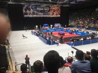 IMG-20170613-WA0018.jpg