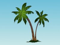 palm12.jpg palm12.jpg