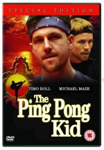 karatekid2.jpg