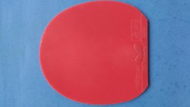 IMG_20171109_142436469.jpg