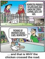 chicken 3.jpg chicken 3.jpg