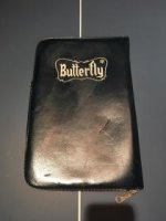 butterfly 3.jpg