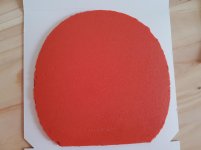 20180408_123223.jpg