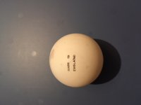 IMG_0267.JPG IMG_0267.JPG