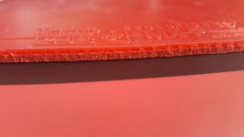 20180420_113207.jpg