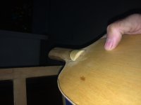 IMG-6454.jpg