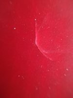 IMG_20180607_141609 (1).jpg IMG_20180607_141609 (1).jpg
