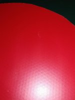 IMG_20180607_141344.jpg IMG_20180607_141344.jpg