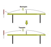 Backspin.jpg Backspin.jpg