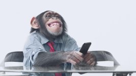 monkey-business.jpg monkey-business.jpg