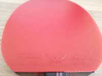 IMG_20190423_173953.jpg