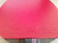 IMG_20190423_174048.jpg