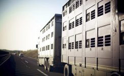 tiertransport-schmal_Casarsa-i-700x431.jpg