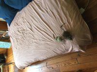 IMG_2201.jpg