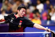 Xu Xin loop.jpg Xu Xin loop.jpg