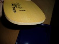 P1010150.jpg