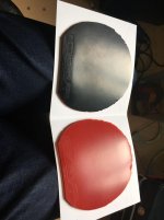 IMG_1116.jpg