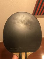 Spinart after 11 weeks.jpg