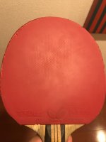 T80 after 11 weeks.jpg