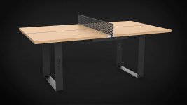stigatabletennis--1583957348302.jpg