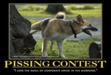 pissing contest.jpg