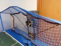 TENNIROBO2.jpg TENNIROBO2.jpg