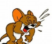 Jerry laugh.jpg