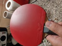 IMG_20200814_200333.jpg